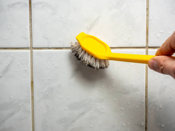 Best Toxic Mold Removal  in Altus, OK