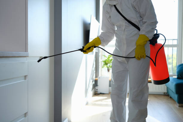 Best Home Mold Removal  in Altus, OK