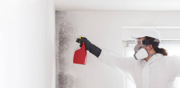 Best Mold Remediation Services  in Altus, OK