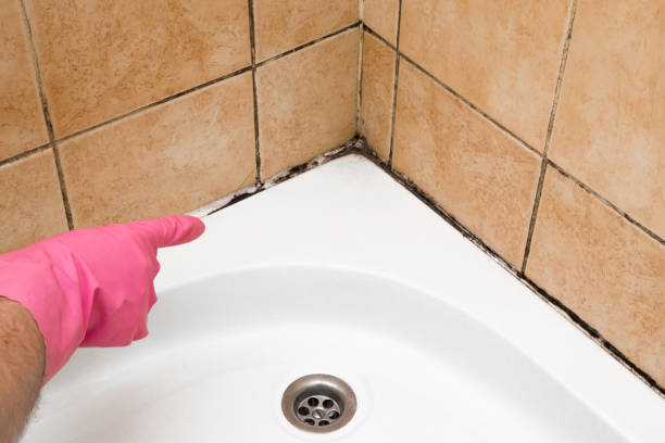 Best Toxic Mold Removal  in Altus, OK